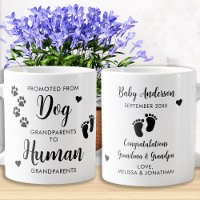 Personalised Promoted From Dog Grandparents