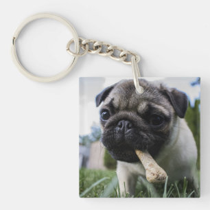 Personalised Pug Dog Photo and Name Key Ring