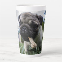 Personalised Pug Dog Photo and Name