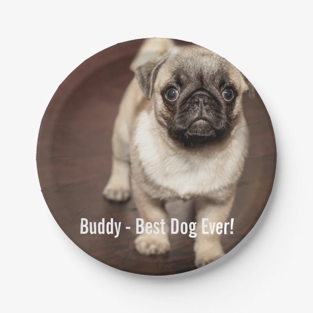 Personalised Pug Dog Photo and Your Pug Dog Name Paper Plate (Front)