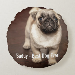 Personalised Pug Dog Photo and Your Pug Dog Name Round Cushion