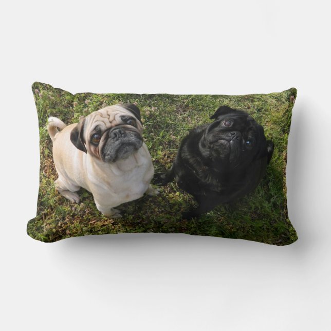 Personalised Pug Pillow, black and white Pugs, NEW Lumbar Cushion (Front)