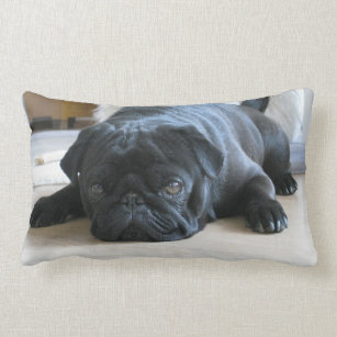 Personalised Pug Pillow, black pug puppy, cute Lumbar Cushion