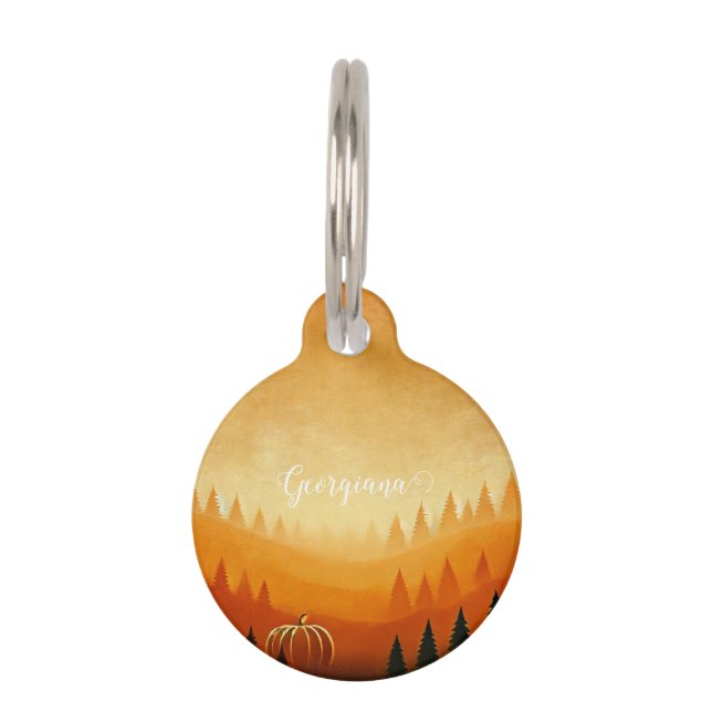 Personalised Pumpkin Harvest Autumnal Harvest Pet Tag (Front)