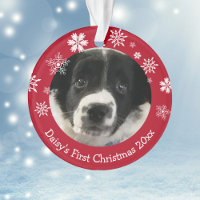 Personalised Puppy's First Christmas Christmas