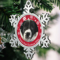Personalised Puppy's First Christmas 