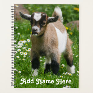 Personalised Pygmy Dwarf Goat Kid Planner