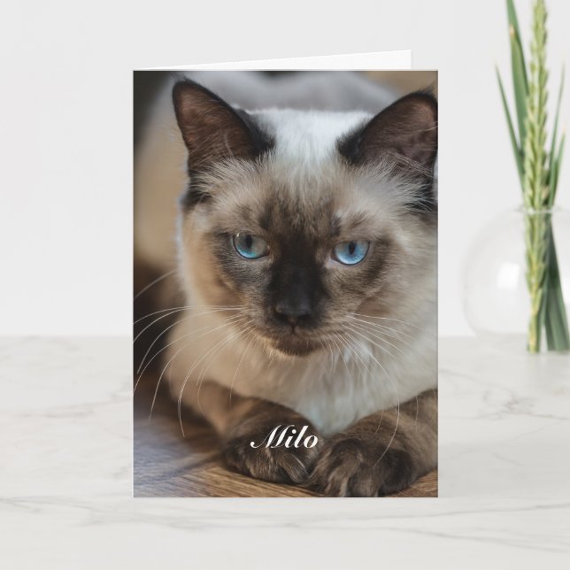 Personalised Ragdoll Cat Photo and Name Card (Front)