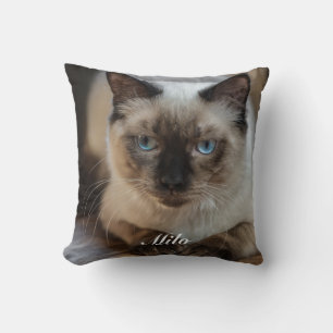 Personalised Ragdoll Cat Photo and Name Cushion