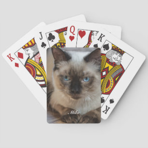 Personalised Ragdoll Cat Photo and Name Playing Cards