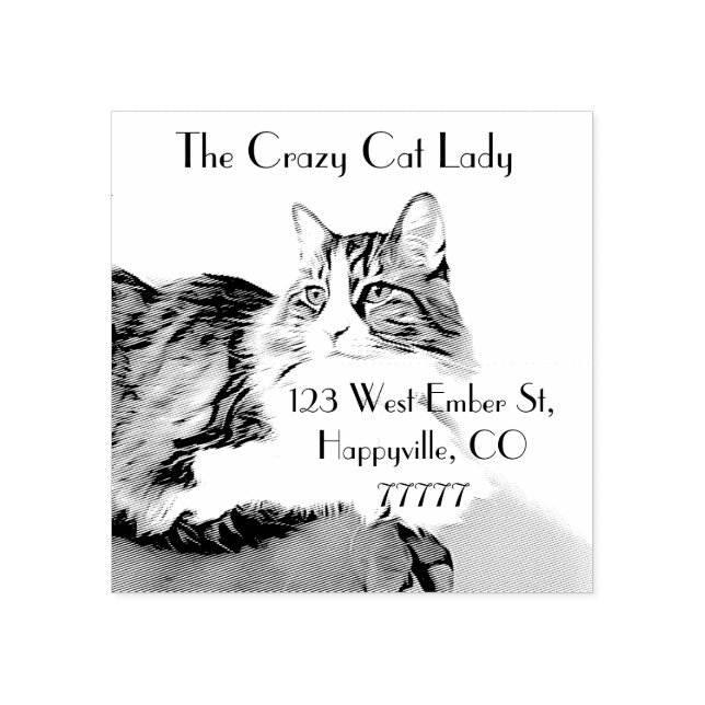 Personalised return address, handsome cat. rubber stamp (Imprint)
