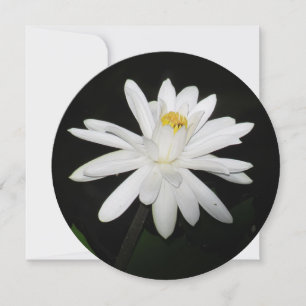 Personalised Round White Water Lily Floral Card