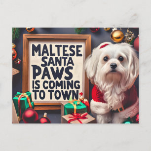 Personalised Santa Maltese Dog Merry Christmas Holiday Postcard