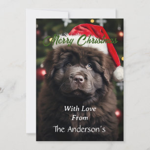 Personalised Santa Puppy Holiday Card