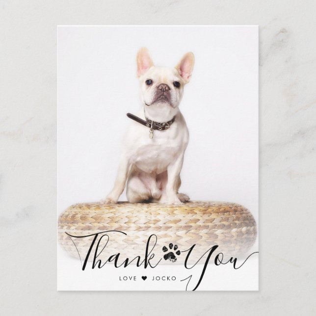 Personalised Script Pet Memorial Photo Thank You  Postcard (Front)