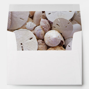 Personalised Seashells and Sand Dollar Envelopes