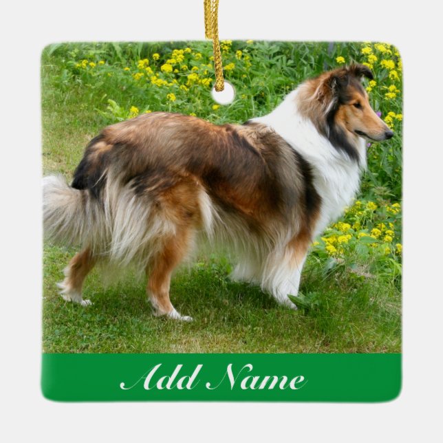 Personalised Shetland Sheepdog - Sheltie Dog Ceramic Ornament (Front)