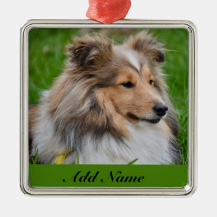 Personalised Shetland Sheepdog - Sheltie Dog Metal Tree Decoration