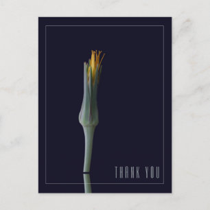 Personalised Simple Elegant Floral Black Thank You Postcard