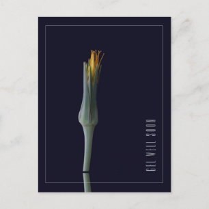 Personalised Simple Elegant Flower Get Well Soon Postcard