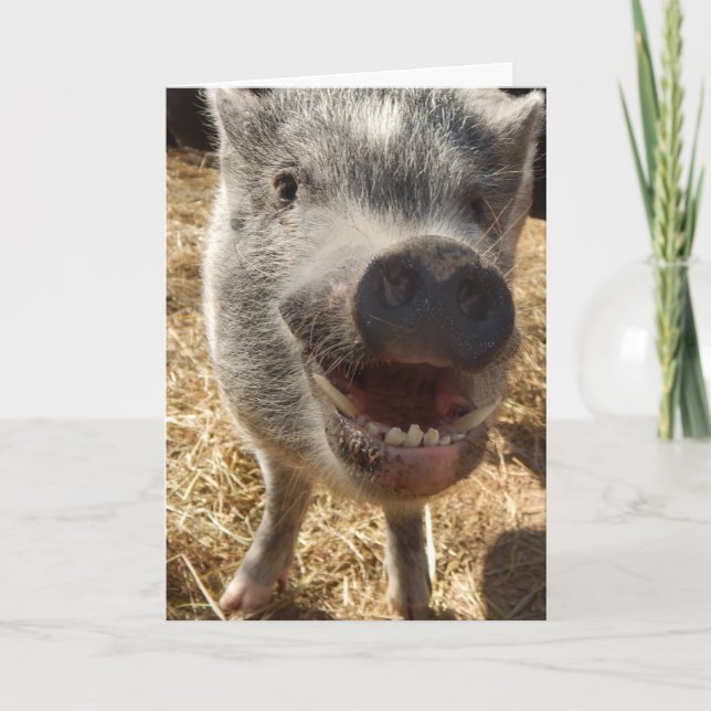Personalised Smiling Mini Pig Greeting Card, Card (Front)