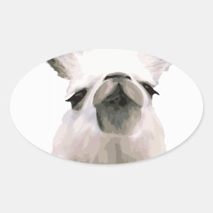 Personalised Snooty Snobby Llama Oval Sticker