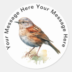 Personalised SongBird Stickers Dunnock