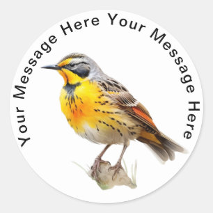 Personalised SongBird Stickers Eastern Meadowlark