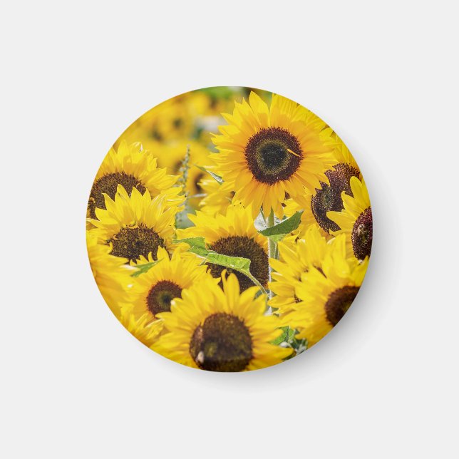 Personalised Sunflower Monogram Magnet (Front)
