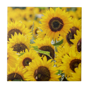 Personalised Sunflower Monogram  Tile