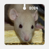 Personalised Tan Beige Dumbo Fancy Pet Rat