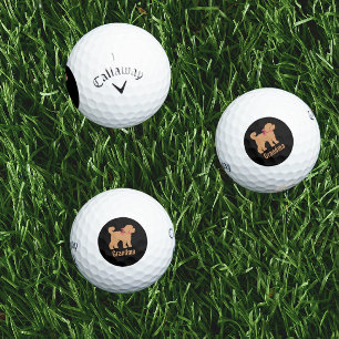 Personalised Tan Doodle Dog on Black Golf Balls