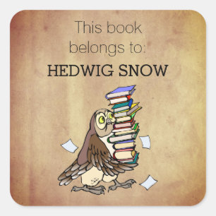 Personalised This Book Belongs to Owl Bookplate Square Sticker