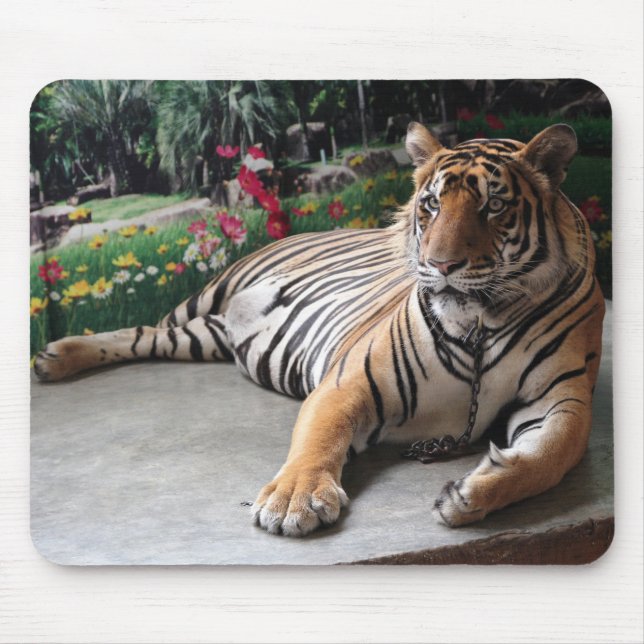 Personalised Tiger Wild Animal Mouse Pad (Front)