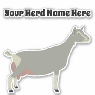 Personalised Toggenburg Dairy Goat