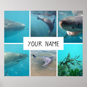 Personalised Underwater Animals Australia Poster