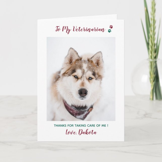 Personalised Veterinarian Pet Care Pet Photo Holiday Card (Front)