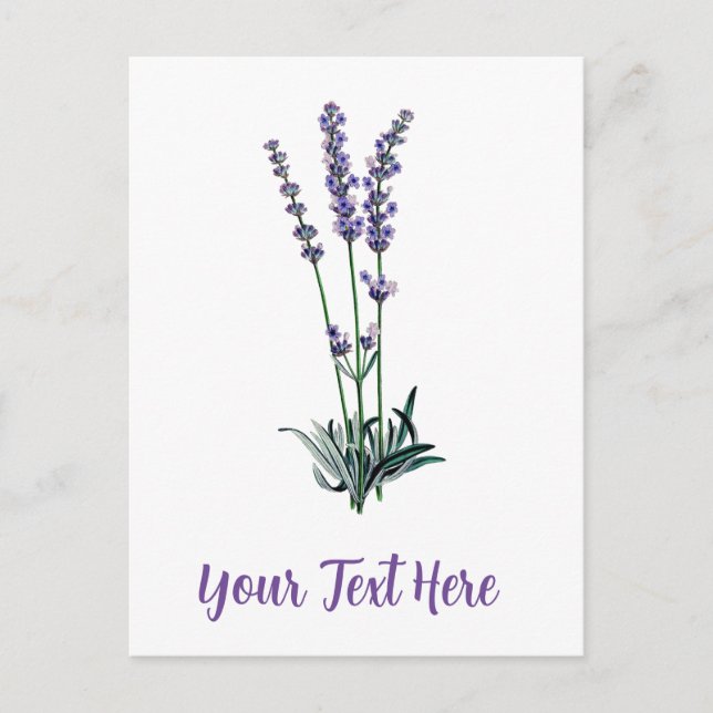 Personalised Vintage Lavender Flower Postcard (Front)