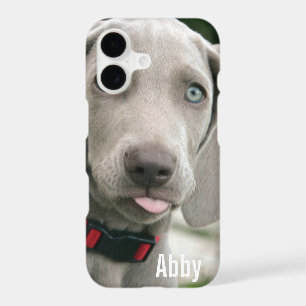 Personalised Weimaraner Dog Photo and Dog Name
