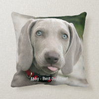 Personalised Weimaraner Dog Photo and Dog Name