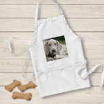 Personalised Weimaraner Dog Photo and Dog Name Standard Apron<br><div class="desc">Personalised Weimaraner Dog Photo and Weimaraner Dog Name design features an uploaded photo of your Weimaraner (or any photo) the dog's name or add your own text - We love "dog's name", dog's birthday or day of passing. Just click on "customise" to add your personalised text, change the font and...</div>