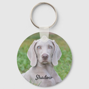 Personalised Weimaraner Puppy Dog Key Ring