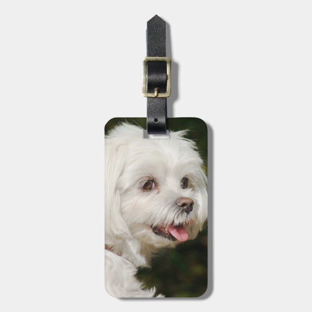 Personalised White Maltese Puppy Dog Luggage Tag (Front Vertical)