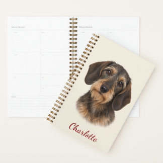Personalised Wire-Haired Dachshund with Name Planner