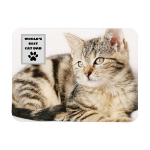 Personalised World's Best Cat Dad Custom Photo Magnet