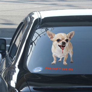 Personalised You Can't See Me Chihuahua WWE Car