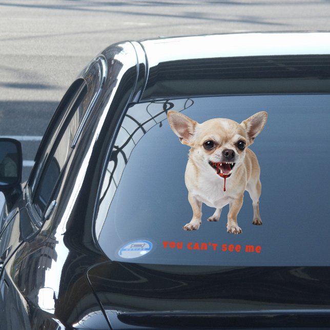 Personalised You Can't See Me Chihuahua WWE Car (Creator Uploaded)