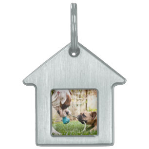 Personalised Your Pet Dog Cat Photo Picture Image ID Tag