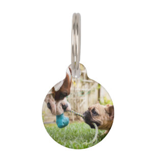 Personalised Your Pet Picture Photo Image Cute Pet Tag