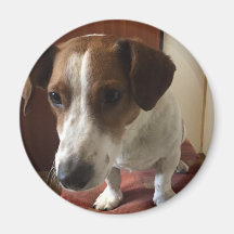 Personalisiert Magnete